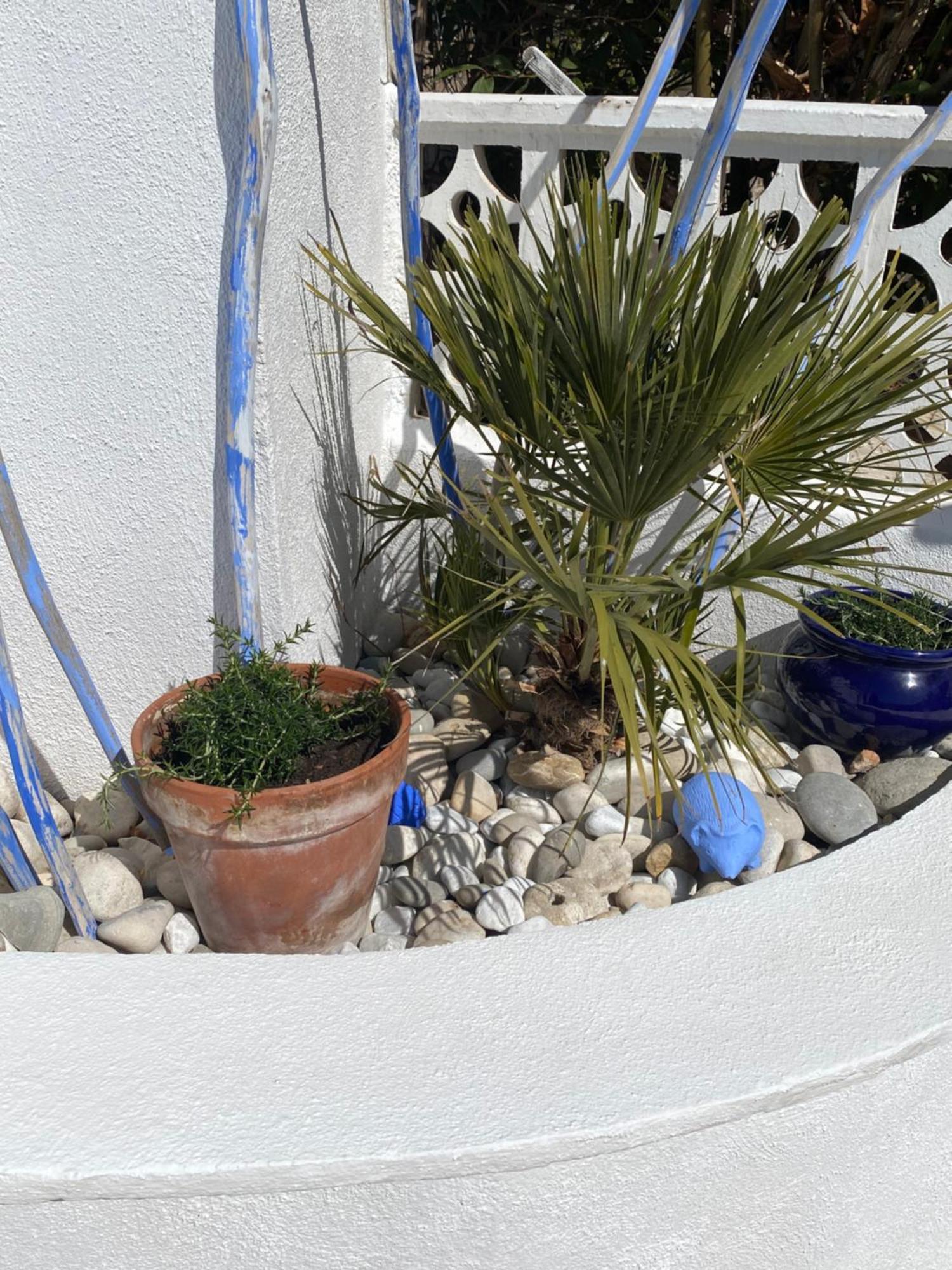 Bungalow Steps From Moraira 테울라다 외부 사진